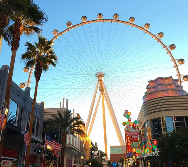 Tallest Observation Wheel