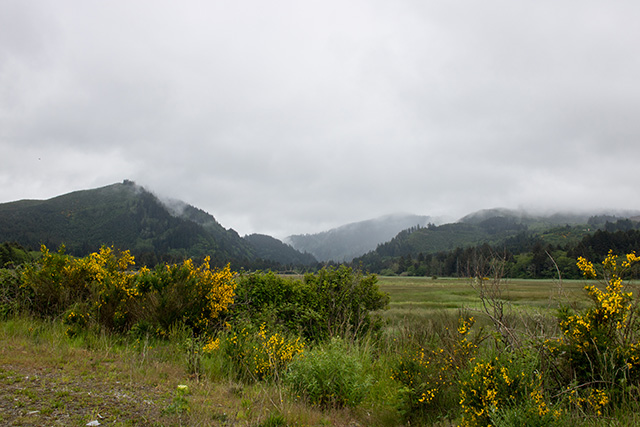 Countryside Near Portland