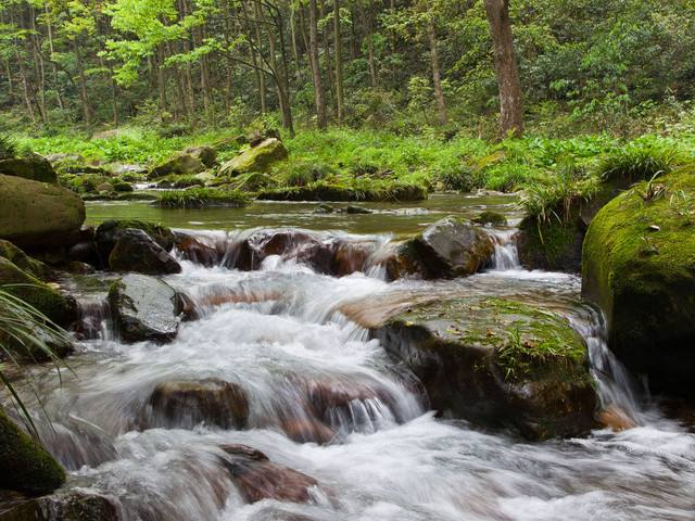 Zhangjiajie National Forest Park