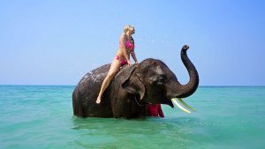 riding elephant